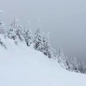 Meet your Posher, Artur